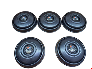 رو بوقی جیپ آهو